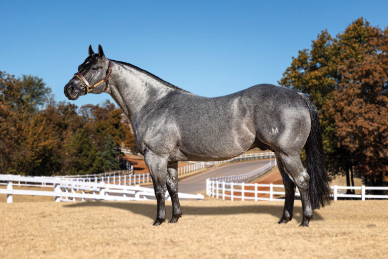 BG_Jan_2026_One Fabulous Time_LER-1