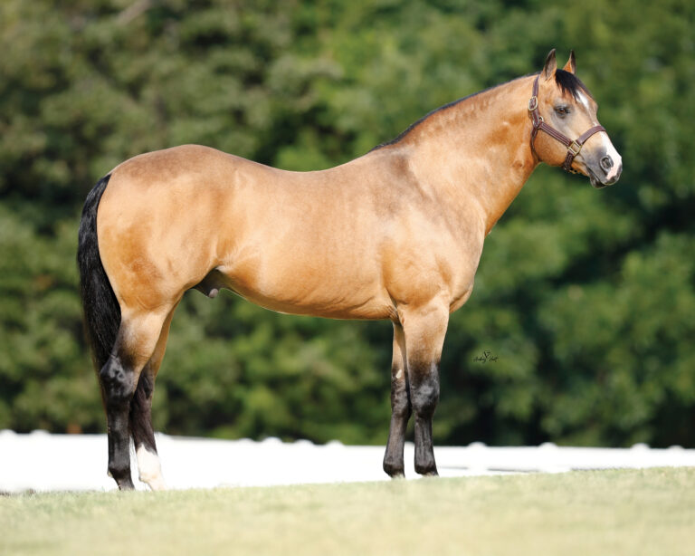 BG_Jan_2026_Traffic Guy_34A4933