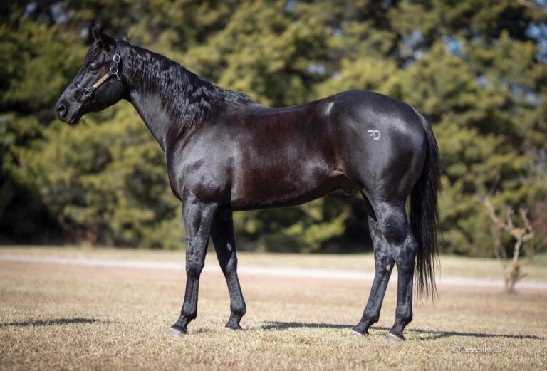 BG_Jan_2026_ABlazinDude_Confirmation