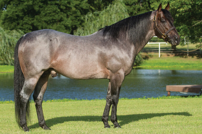 BG_Jan_2026_FULTON_ASOF_sideprof