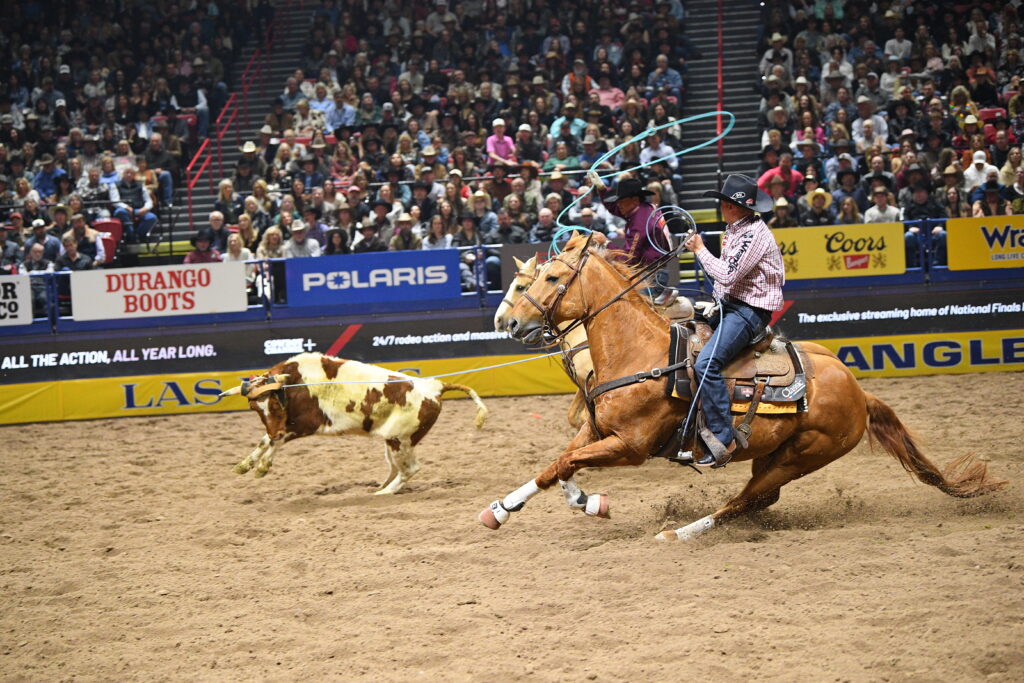 WSR Hesa Alive Clint Summers Transmission