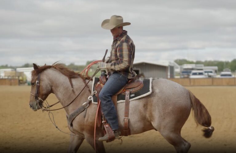 75B981D1-1726-4432-94EE-D12B6ECD8C3E