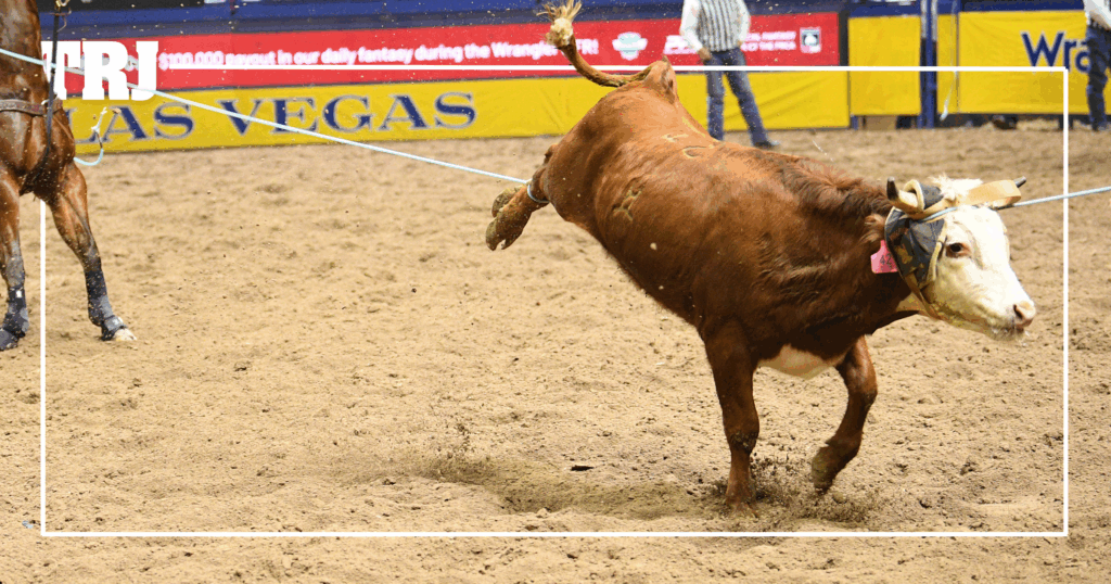 It All Comes Down to This. The Round 10 Team Roping Draw. - The Team ...