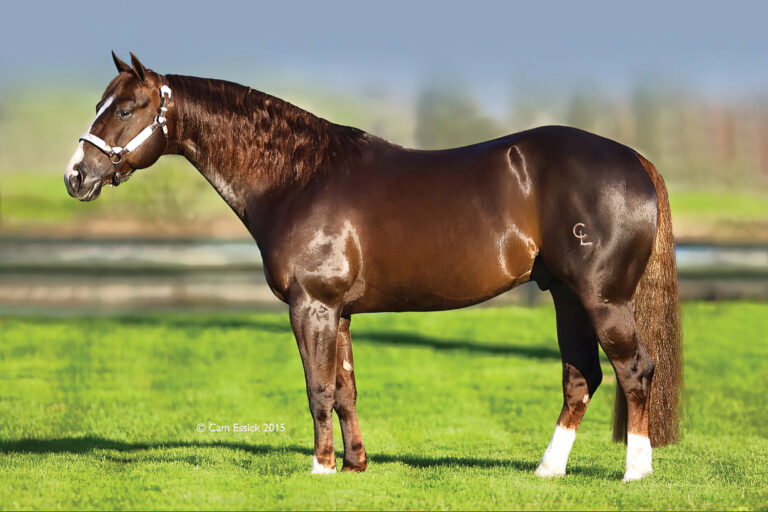 BG_Jan_2026_This One Time