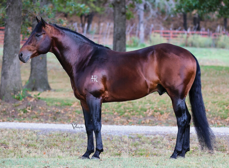 BG_Jan_2026_HRSmartRey_IMG_5866