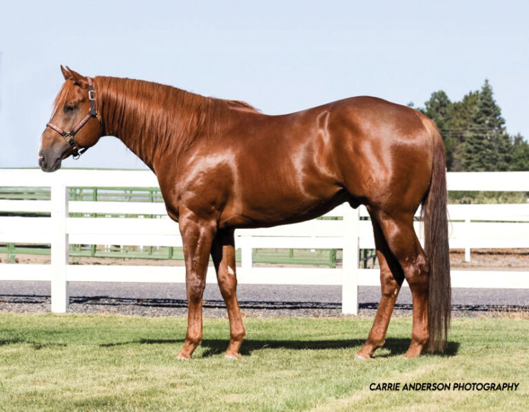 BG_Jan_2026_Lester Profile