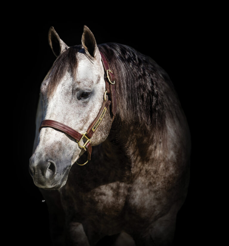 BG_Jan_2026_paydayportraitonblack copy