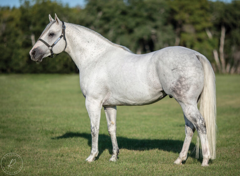 BG_Jan_2026_Nickster_IMG_2548