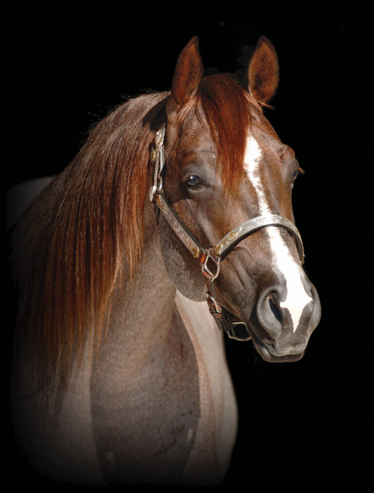 BG_Jan_2026_otp-headshot-2022-1