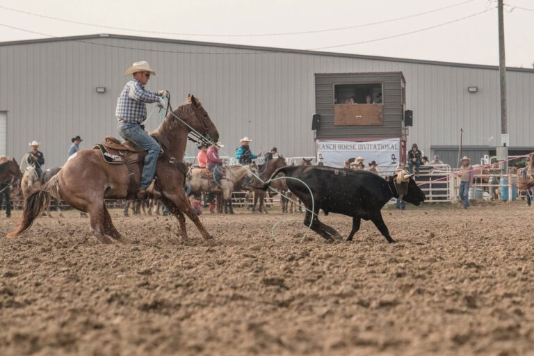 BG_Jan_2026_IMG_6598