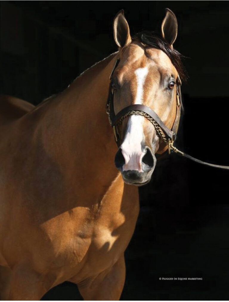 BG_Jan_2026_PROMISE OF THE SUN