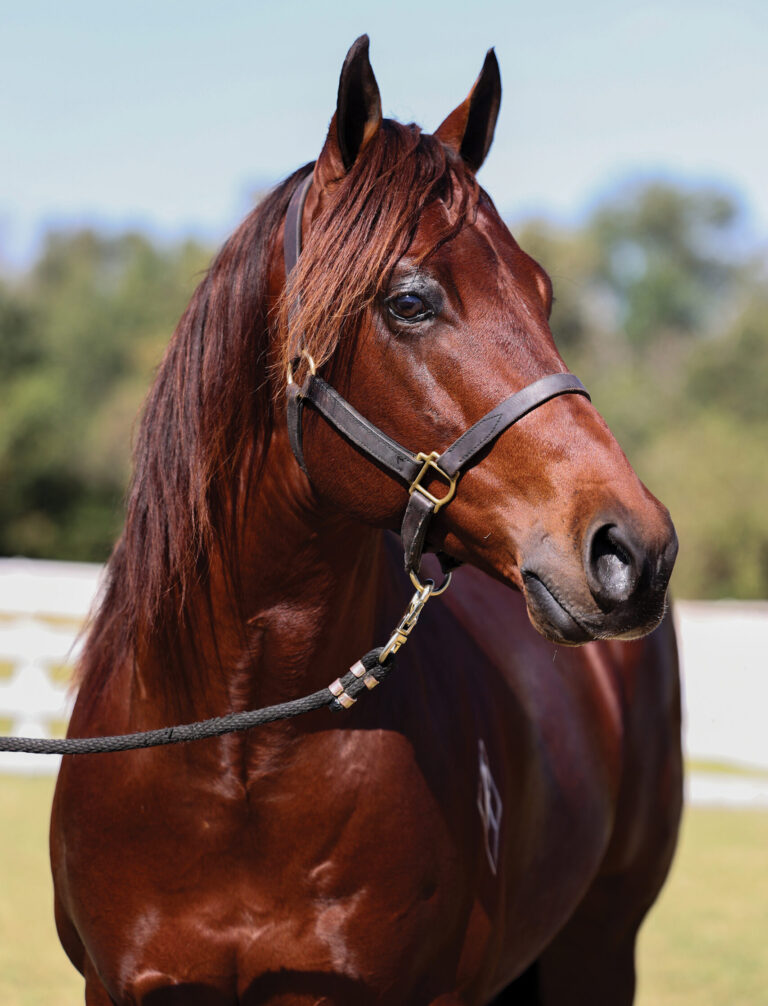 BG_Jan_2026_WatchTheLane3K4A8698