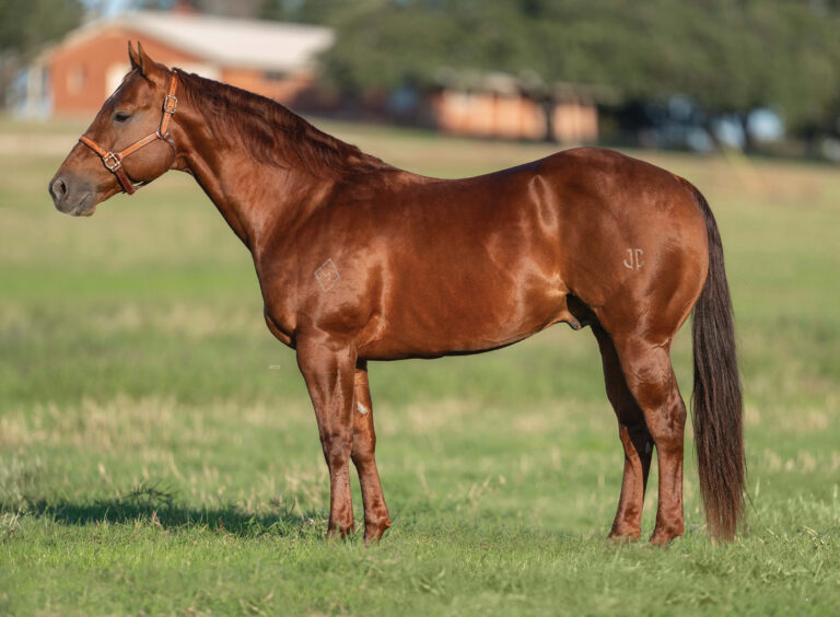 BG_Jan_2026_DSC07643