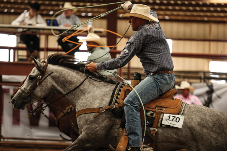 BG_Jan_2026_MCS_5563