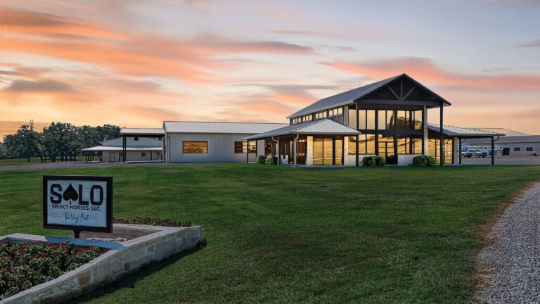 BG_Jan_2026_SOLO101_019-001_DJI_20251004123155_0001_D