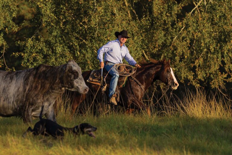 BG_Jan_2026_PepinStep_colbysneak-IPR38235