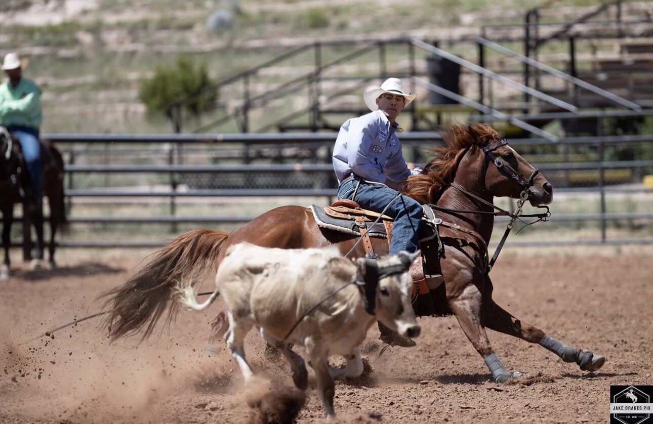slade Wood tripping steers