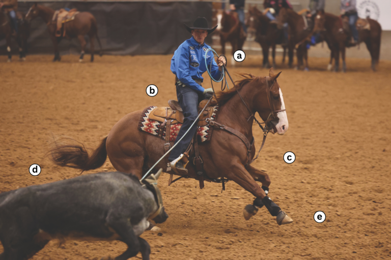 Freeze Frame with Clyde Bolejack