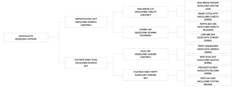 sofisticatto pedigree