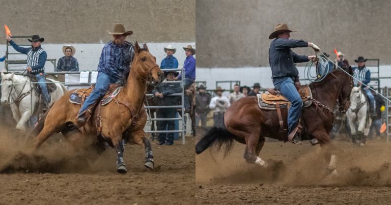 Cwegvopy of WSG - link preview with lines and logo