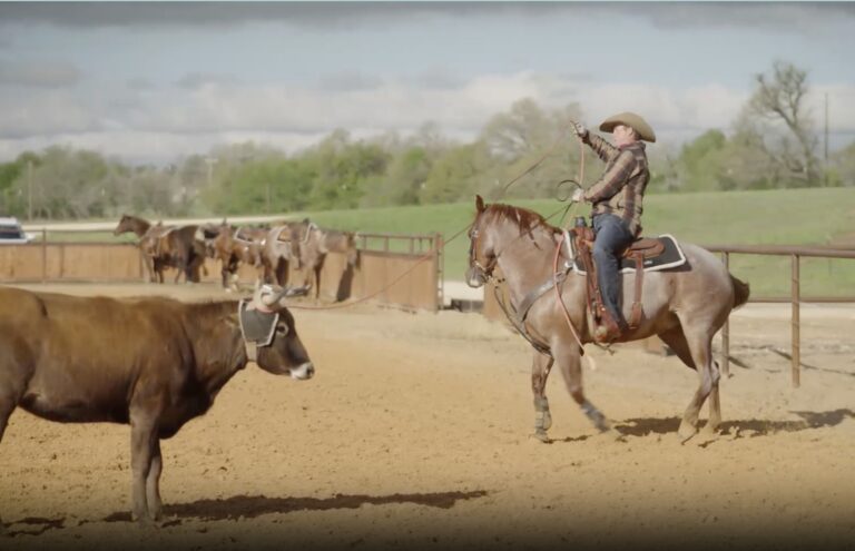 D4096B91-22D2-4BC7-B4E6-9CAA71B89D7E