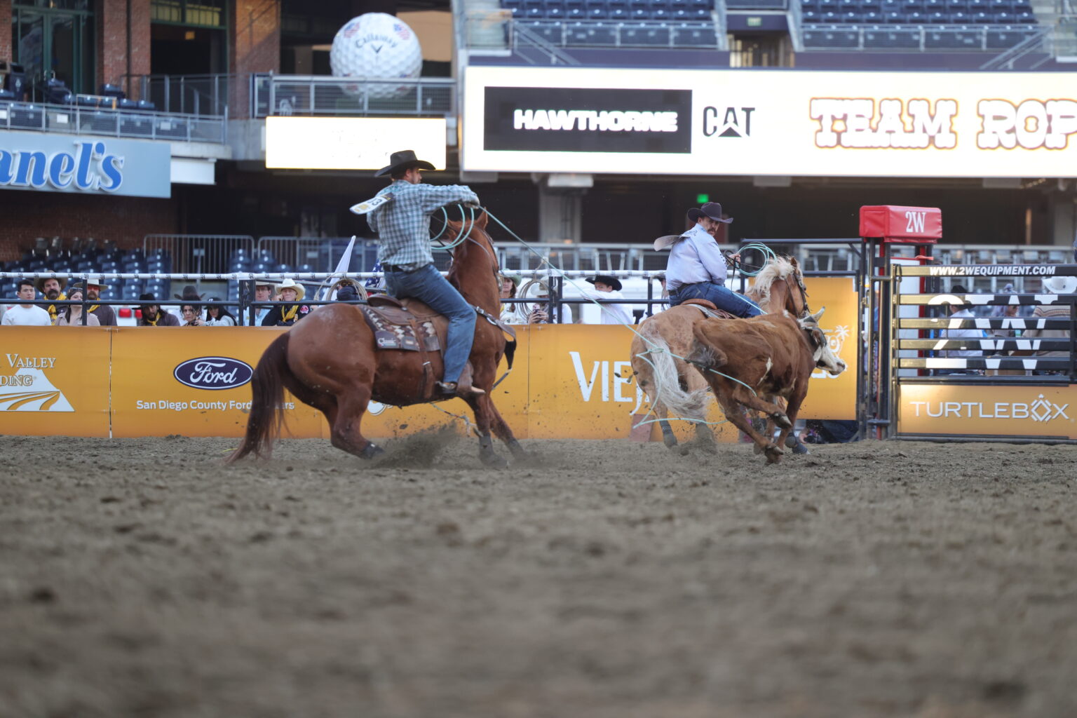 Rhen Richard Rodeo Everything to Know About the 2026 San Diego Rodeo