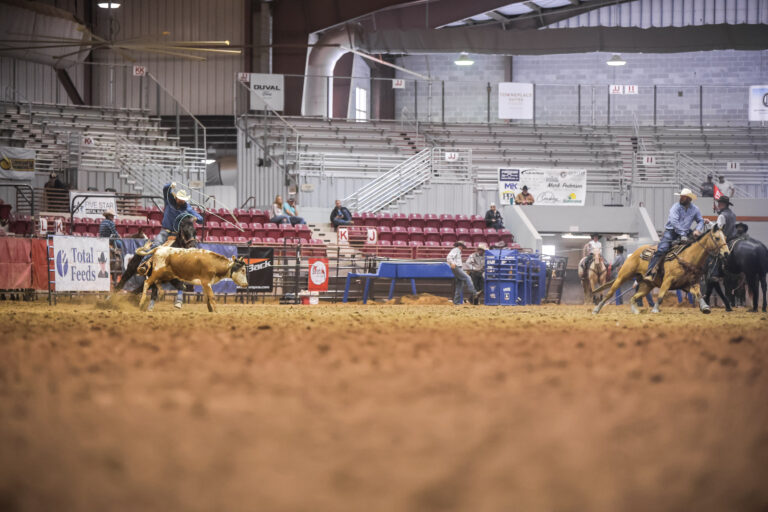 57EFE281-519A-4DE1-8C0D-BAC225AF6CF3