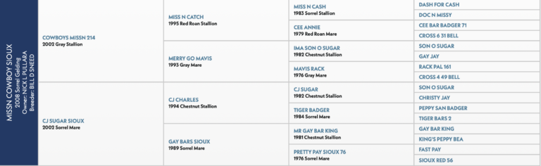 Tanner Tomlinson's Missn Cowboy Sioux, aka Marshall