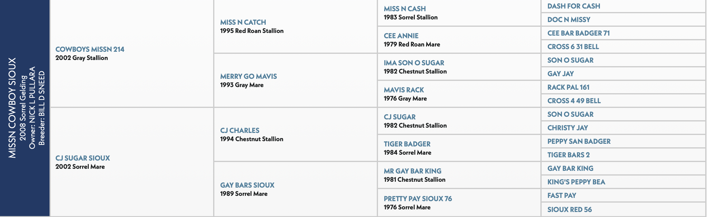 Tanner Tomlinson's Missn Cowboy Sioux, aka Marshall