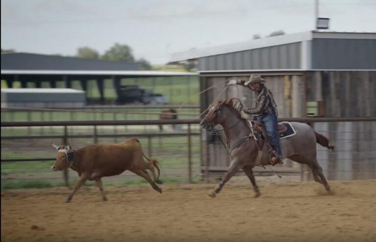 F7E8BFC2-BD39-4C3C-B346-2CA9B48DF26B