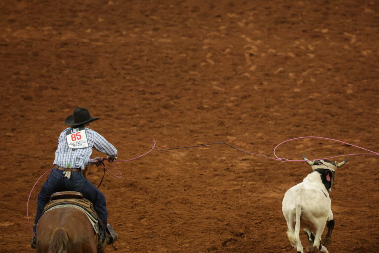 uuid=B5F10ABE-601E-4429-A974-30191950A5E7&code=001&library=3&type=1&mode=1&loc=true&cap=true