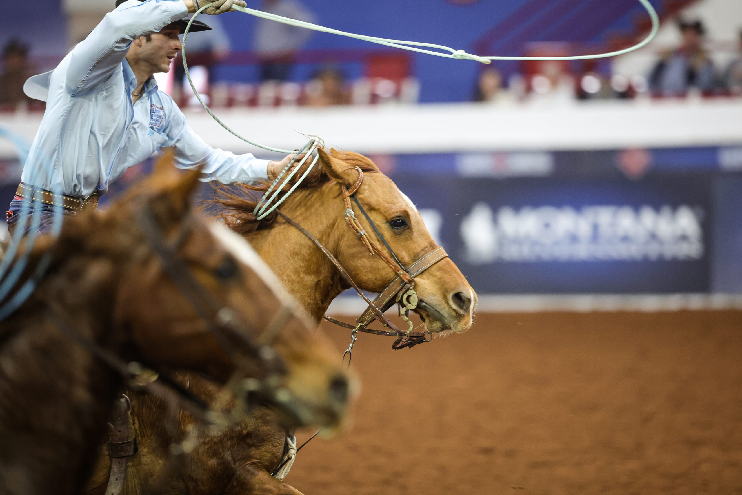 Leo Loucks competes in team roping heading