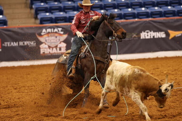 Ross Ashford team roping
