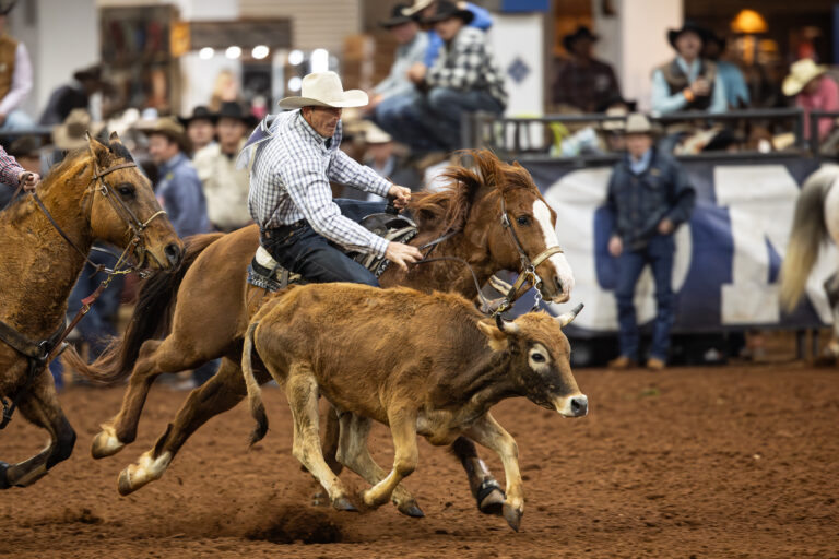 Taylor Santos Steer Wrestling