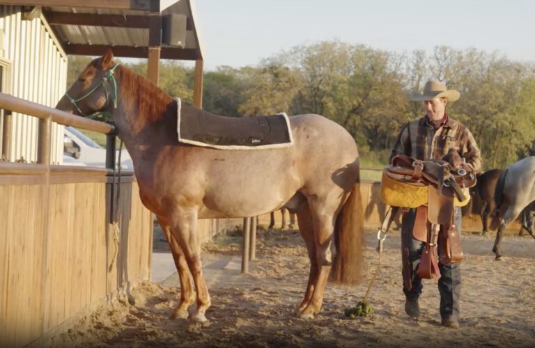 9919F1CE-C520-4E1E-9217-9AE35637D589