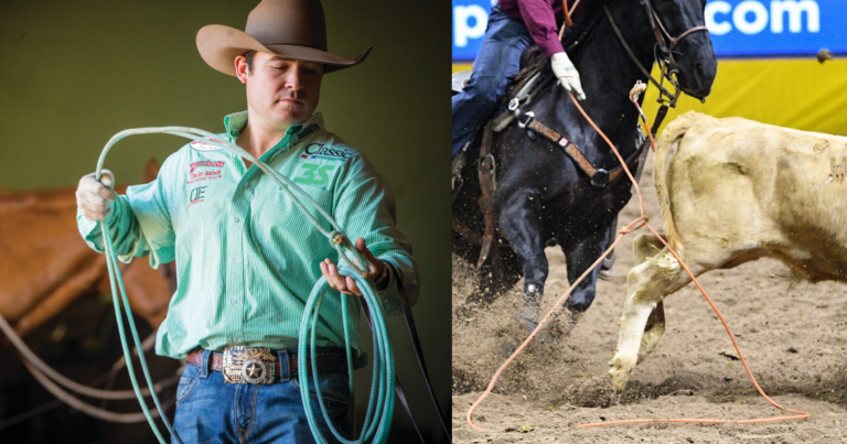 Copy of WSG - link preview with lines and logo-20