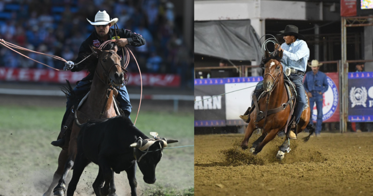 Copy of WSG - link preview with lines and logo-23