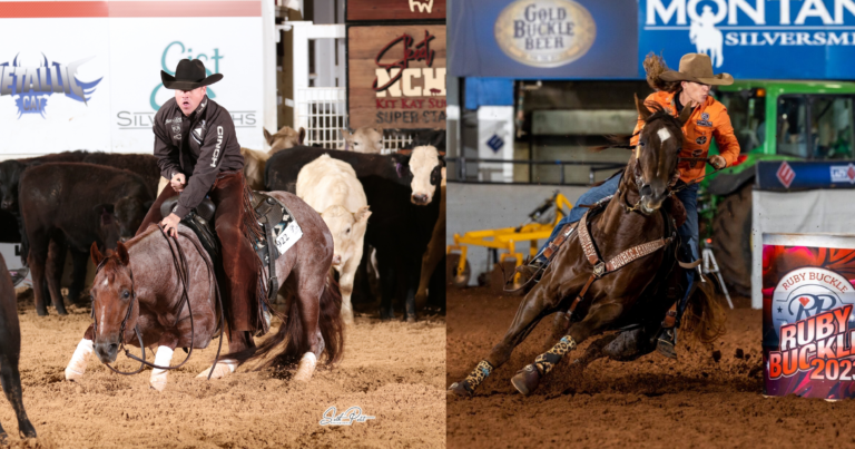 Copy of WSG - link preview with lines and logo-25