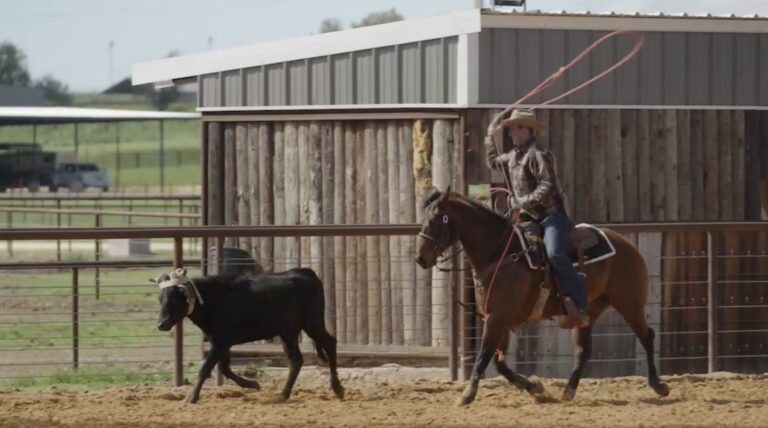 50616AD6-0BC5-455E-A070-426AE3047A70