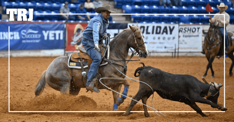 Copy of WSG - link preview with lines and logo