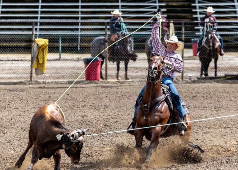 2026 Oakdale Rodeo_Fri Slack_Team Roping - 2_-Brit Ellerman and Todd Hampton- DC_3228