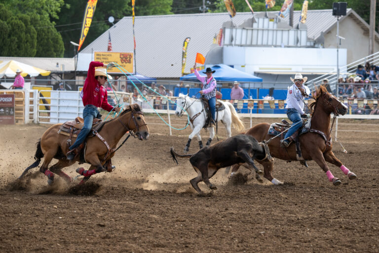 Christopher Thompson