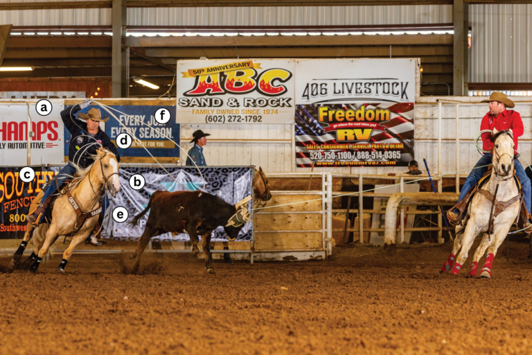 freeze frame with andy holcomb