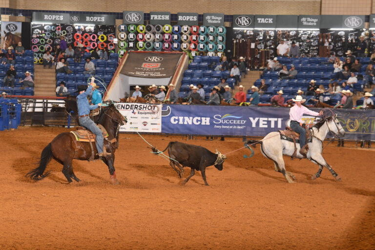 houston childers heeler