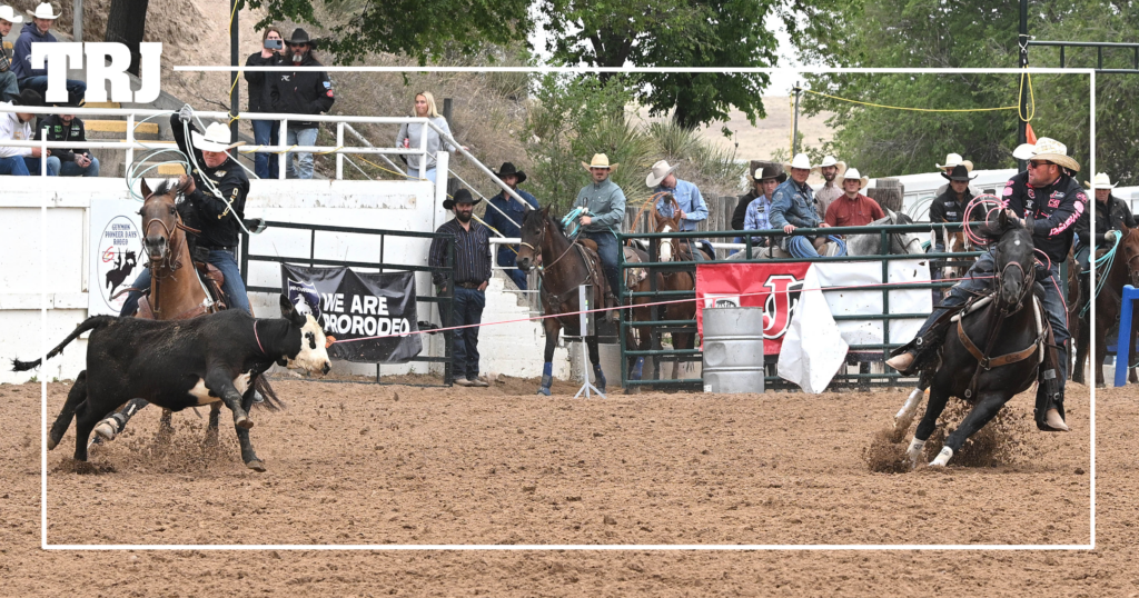 JM Miss Kitty Is Coleman Proctor’s 2026 Summer Weapon—and She’s a Mare