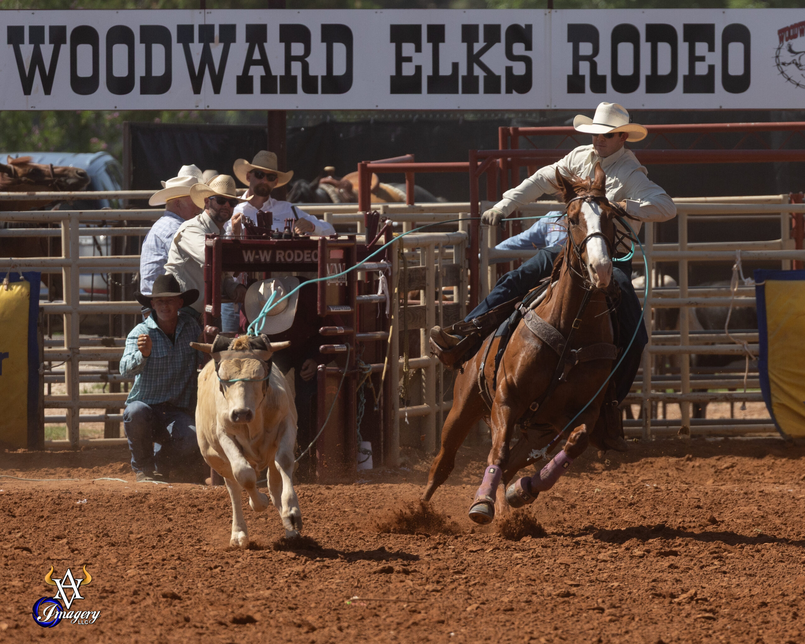 korbin rice team ropers