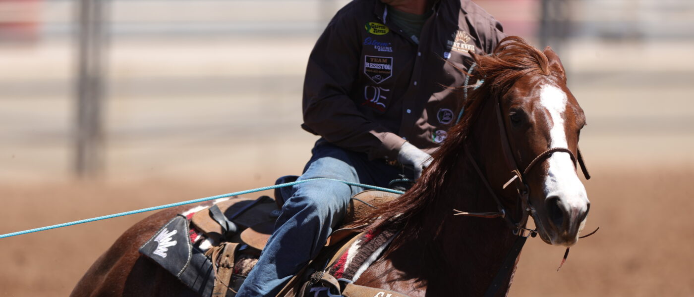 Andy Holcomb Shes A Bossy Rebel