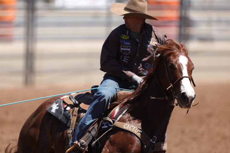 Andy Holcomb Shes A Bossy Rebel