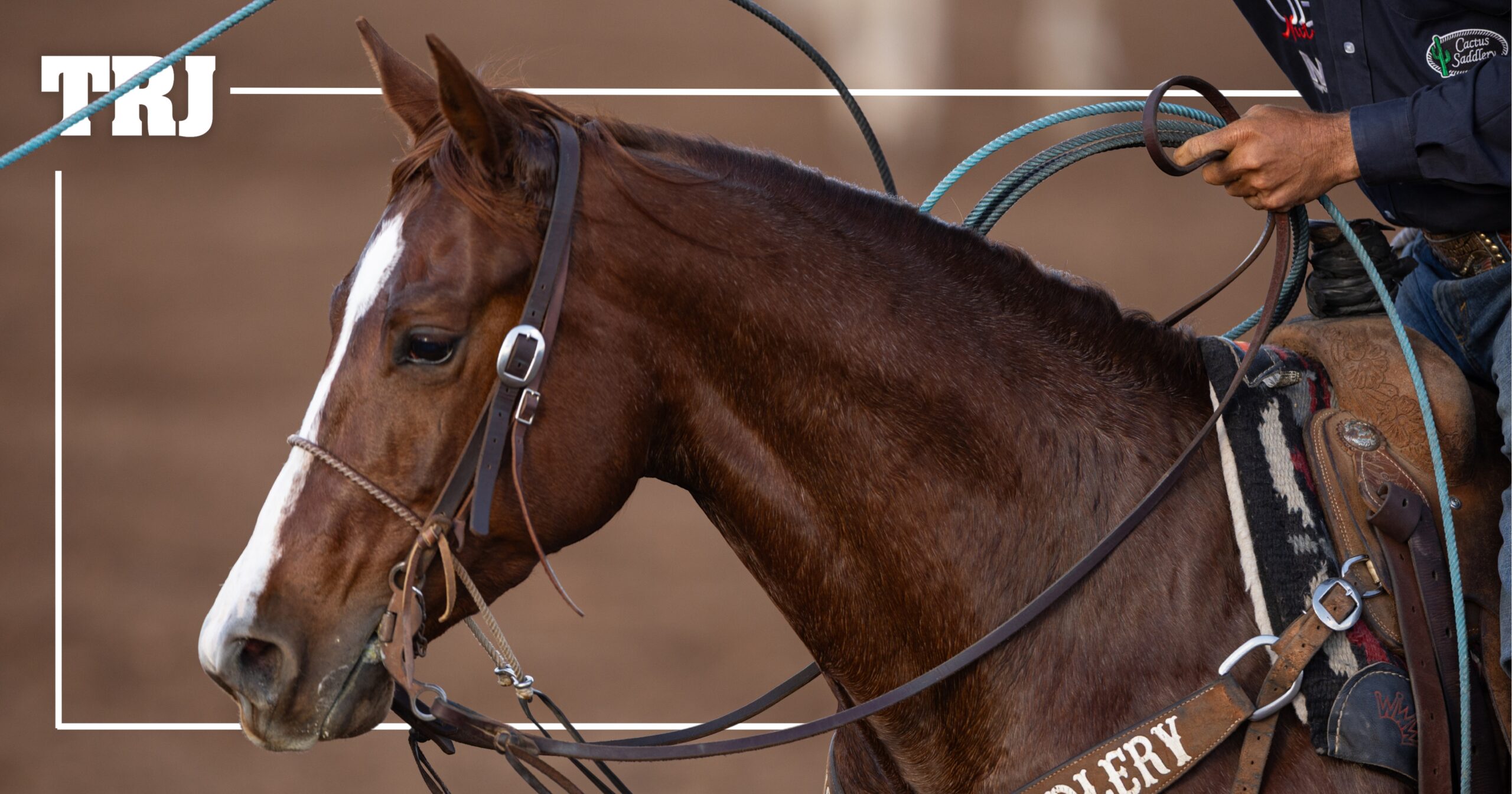 Andy Holcomb Wins the Old West Pre-Futurity Heading by 'Playing It Safe' on Shes A Bossy Rebel