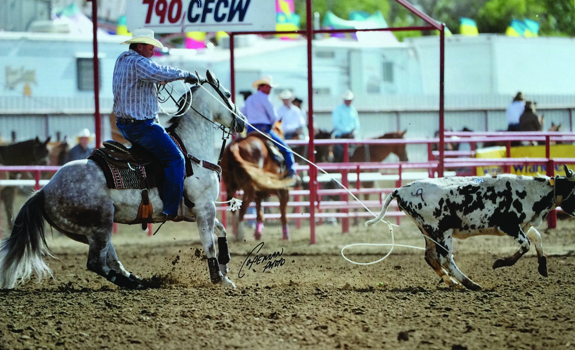Kevin Schreiner heeling a steer at the 2011 Ponoka Stampede